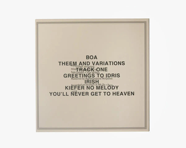 Sam Gendel and Sam Wilkes // Music for Saxofone and Bass Guitar LP