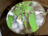 Photay with Carlos Niño // An Offering LP