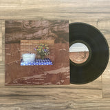 Andrew Weathers // A Cardinal With a Sign of Blood LP