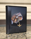 Point of Memory // Void Pusher 2xLP / TAPE / CD