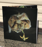 Point of Memory // Void Pusher 2xLP / TAPE / CD