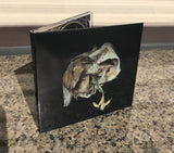 Point of Memory // Void Pusher 2xLP / TAPE / CD