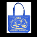 Goodbye Press // Flat Earth TOTE