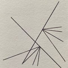 dudal / Adriaan de Roover // 2025 Japan Tour split TAPE