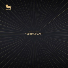 Felipe Valenzuela // Variable Of Not Knowing You 12"