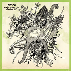 NTFO // Auction 12"