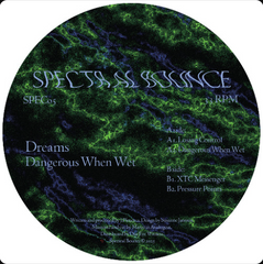Dreams // Dangerous When Wet 12inch