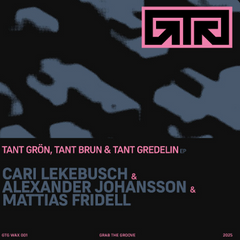 Cari Lekebusch & Alexander Johansson & Mattias Fridell // Tant Grön, Tant Brun & Tant Gredelin 12inch