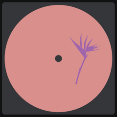 Daniel Meister // Lanao Izany EP 12inch