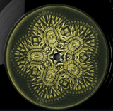 Subb-an // Prism EP 12inch