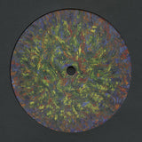 Andrea // Sktch 12"
