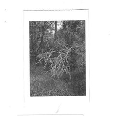 uœrhe // traum manifold TAPE