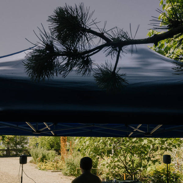 Various Artists (Institute of Landscape and Urban Studies