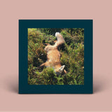 Robert Farrugia // Worn LP