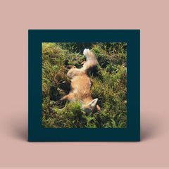 Robert Farrugia // Worn LP