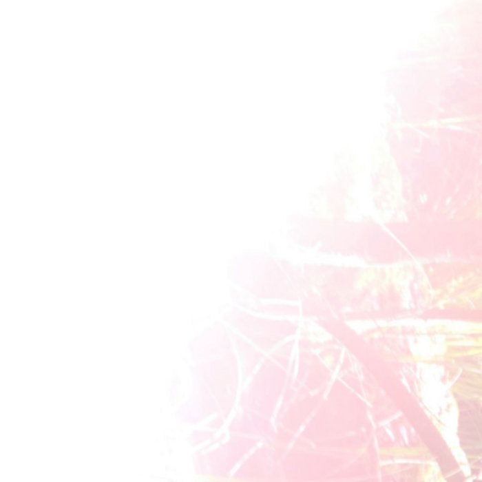 Holy Similaun // Radicor al flort, espert on'ill il erb, aor Raetia LP