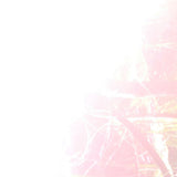 Holy Similaun // Radicor al flort, espert on'ill il erb, aor Raetia LP