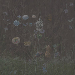 Infant // sigla, sone TAPE