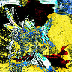 Snotnoze Saleem // Shards I & Ⅱ TAPE