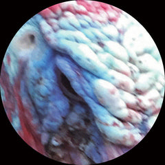 Masami Akita // wattle LP