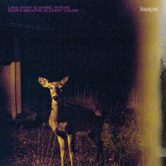 Lake Mary & Daniel Wyche // Deer's Breathe In Every Color CD