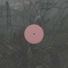 Alien D // For the Early Hours of a World in Bloom LP