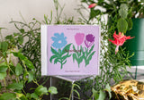 Various Artists (Moon Glyph) // Amethyst: New Sounds from Moon Glyph Records CD