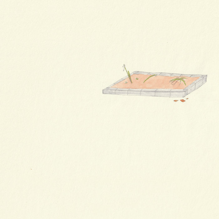 新しい部屋 // 野良の花壇 TAPE