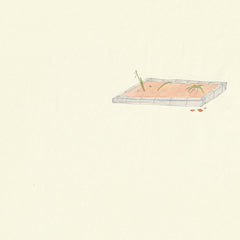 新しい部屋 // 野良の花壇 TAPE