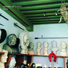 Organ Of Corti // Auris CD