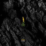 Ava Rasti // Ginestra CD