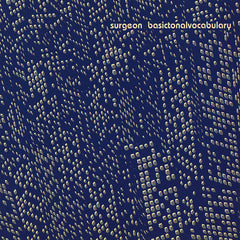 Surgeon // Basictonalvocabulary (2025 Repress) 2x12inch