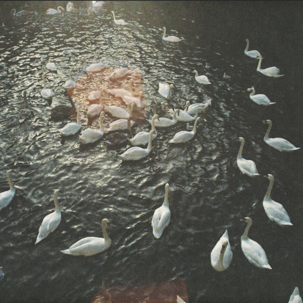 Elastic // Below Shadows 12"