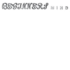 Walter Zimmermann // Beginner's Mind LP