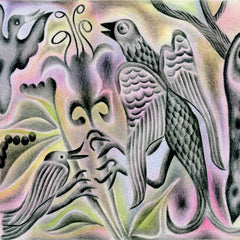 Various Artists (mappa) // Synthetic Bird Music 2xTAPE