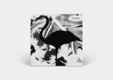 Mike Cooper // Black Flamingo CD