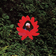 Lionmilk // When The Flowers Bloom LP