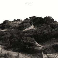 Tristan Louth-Robins // Borrowed Out Of Time LP