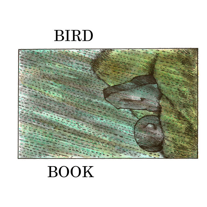 Bird Book // Bird Book TAPE