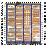 Bourbonese Qualk // My Government Is My Soul LP