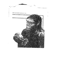 Dan Michiu // Pithecanthropus Carpathicus TAPE