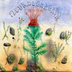 Le Diable Degoutant // Fleur De Chagrin LP