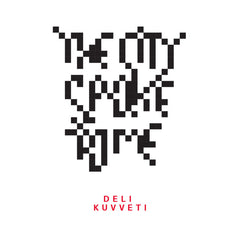 Deli Kuvveti // The City Spoke To Me TAPE
