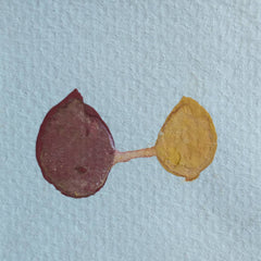 Tom Betteridge // dry rot / clot posset CDr