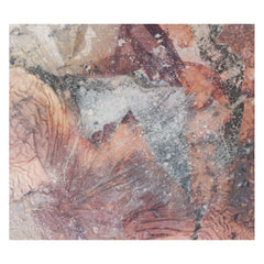 the humble bee // lichen cloak on a white stone CD