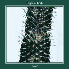 Organ of Corti // Locus LP