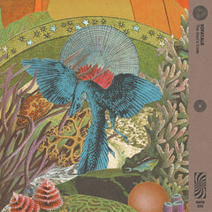 SofaTalk // The Soul’s Code LP
