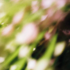 Jonas Landwehr // Coeln Flowerz 12inch