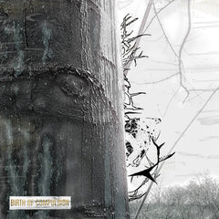 JT Whitfield // Birth of Compulsion TAPE
