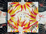 Alabaster DePlume // Come With Fierce Grace LP / CD